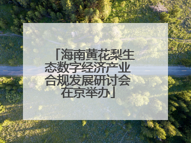 海南黄花梨生态数字经济产业合规发展研讨会在京举办
